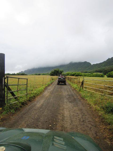IMG 0443 copy